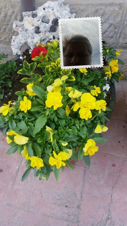 El Cuartelillo Viejo Konuk evi Polientes Dış mekan fotoğraf