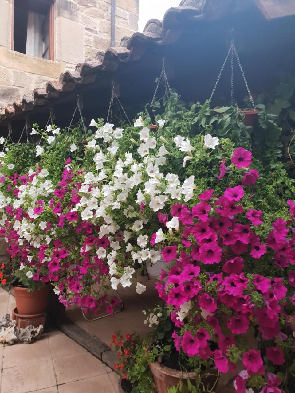 El Cuartelillo Viejo Konuk evi Polientes Dış mekan fotoğraf