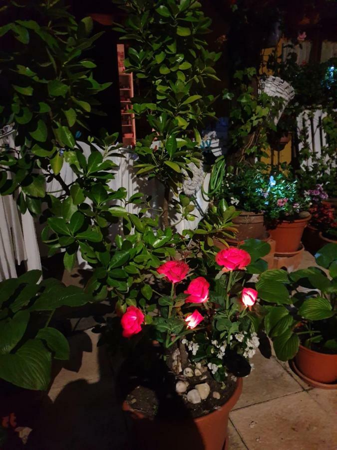 El Cuartelillo Viejo Konuk evi Polientes Dış mekan fotoğraf